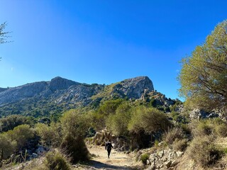 Obraz premium Nature and mountains in the town of Soller