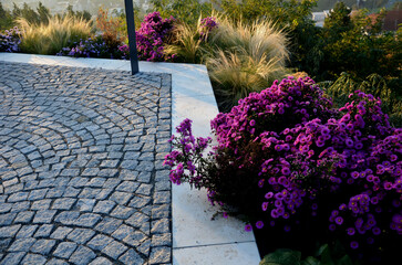 autumn flowerbed with perennials and grasses in a square with black stone cobblestone tiles,...