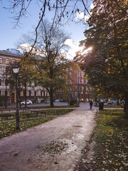 Walkway in a park at autumn with leaves on trees and ground