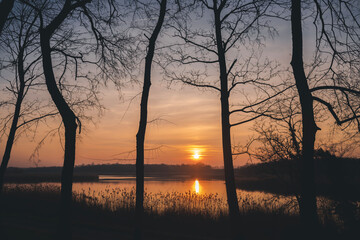 Beautiful bright landscape. Sunset over the lake in the spring forest. Silhouettes of trees without leaves