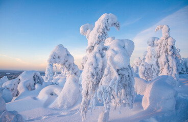 Arctic landscape with frozen trees in Lapland Finland