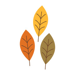 Autumn Leaves Illustration