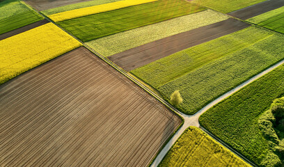 Luftaufnahme mit Rapsfeldern, Äckern, Wiesen und einer blühenden Linde in der Frühlingssonne.