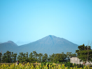Fototapeta premium Scenic Volcano Landscape with Clear Blue Sky