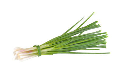 Green Onion on  transparent png