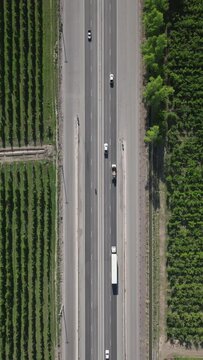 Mode of transport concept. Trucks and cars passing through rural motorway surrounded by orchards
