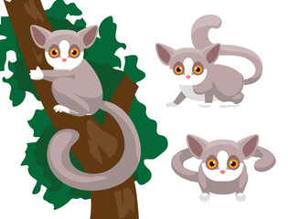 Animal Poses Bush Baby Cartoon Character Vector
