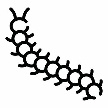 A�centipede�is a poisonous bug with many tiny legs 