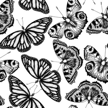 Seamless vector pattern with insects. Monarch butterfly, hive butterfly, peacock butterfly in engraving style