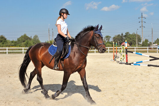 Young girl riding bay horse on arena at equestrian school. Training process.
