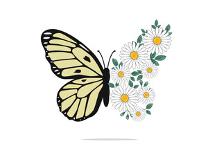 butterfly and flower daisy vector 