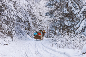 Winter landscape - view of the snowy road with with a horse sleigh in the winter mountain forest after snowfall