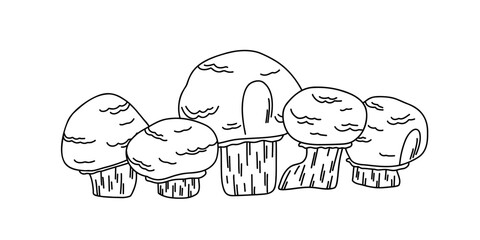 Illustration set of farm mushrooms, champignons in line art style