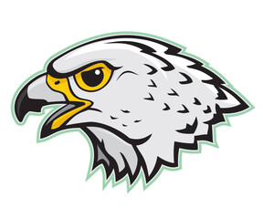 Gyrfalcon Head Mascot, Largest Birds of Prey