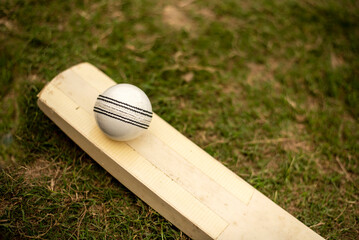 Close-up of cricket white ball on cricket bat against green grass pitch.