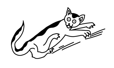 Funny cat falling in outline doodle style. Vector illustration in cartoon hand drawn style isolated on white background