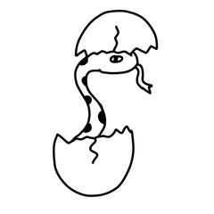 Cute Snake from the egg for coloring. Vector illustration in cartoon doodle style isolated on white background.