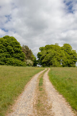 Fototapeta na wymiar Walking tracks in the summertime hills of England.