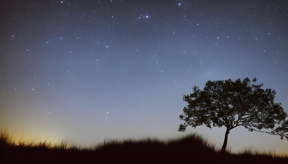Fototapeta na wymiar 幻想的な星空と木のシルエット