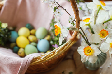 Beautiful daffodils on background of stylish natural dyed easter eggs with spring flowers on linen napkin in wicker basket. Rustic Easter still life. Happy Easter!