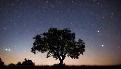 Plakat 幻想的な星空と木のシルエット