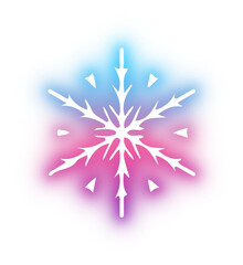 Collection of snowflake neon