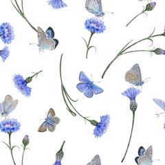 Seamless pattern common blue butterflies and meadow cornflowers - 573939208
