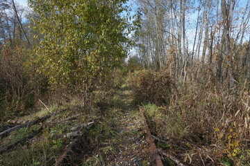 autumn abandoned railway