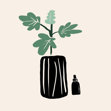 Vector image of green potted plant