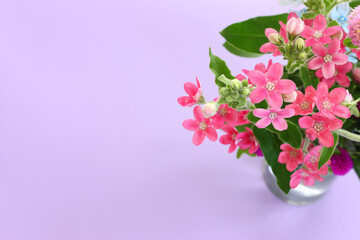 Naklejka na ściany i meble Top view image of pink and purple flowers composition over pastel background