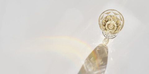 Top view wide banner of white wine in crystal transparent fashion glass with shadow, glare at sunlight, light background and sunbeam, creative summer rest alcohol drink minimal concept