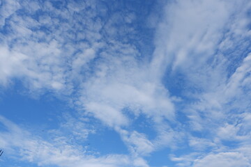 clear sky with a few white clouds