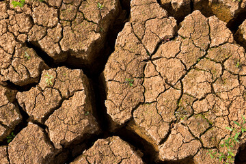 Drying cracks on the clay bottom of the reservoir after the water has dried