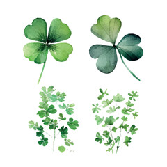 Clover leaves set - quarterfoil and trefoil. Watercolor vector illustration. Patricks Day design element.