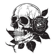 Skull With Rose Flower Black Outline Vector. Human skull with rose sketch drawing, tattoo vector illustration isolated on white background