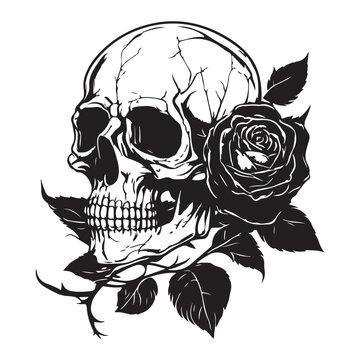 Skull With Rose Flower Black Outline Vector. Human skull with rose sketch drawing, tattoo vector illustration isolated on white background