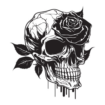 recommend clip art: Skull With Rose Flower Black Outline Vector. Human skull with rose sketch drawing, tattoo vector illustration isolated on white background