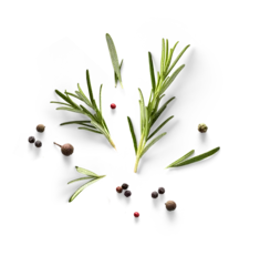 Fototapeten Fresh green organic rosemary leaves and peper isolated on white background. Transparent background and natural transparent shadow  Ingredient, spice for cooking. collection for design © Konstiantyn