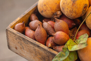 basket of Salacca (Snake Fruit) and santol 