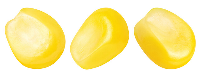 Set of delicious corn seeds cut out