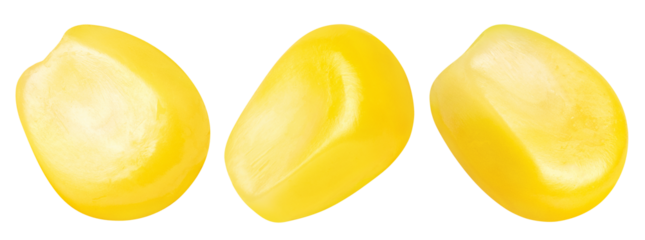 Set of delicious corn seeds cut out