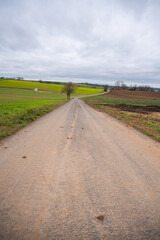 Agricultural path between multiple agricultural fields, stacked straw bale in the distance, cloudy day landscape, vertical shot