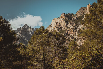 Tranquil Hiking Trail in the Misty Mountains of Corsica