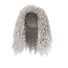 3d rendering curly white platinum hair isolated	