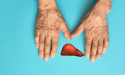 hands of an old man and a symbol of the liver organ on a blue background. concept of liver health, hepatitis prevention, liver ceirosis treatment