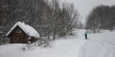 a girl in a hoodie making her way through a snowy forest using poles, hiking in the mountains during a blizzard