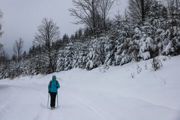 hiker girl walks through a magical snowy forest; active recreation in the frosty snowy mountains