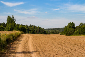 Fototapeta na wymiar Country road along the edge of an agricultural field after plowing, rural landscape with cirrus clouds