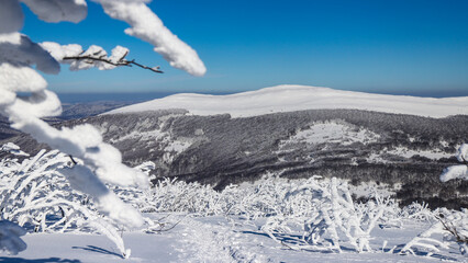 panorama of mountains with shrubs covered by a thick layer of snow, frozen mountain vegetation covering the slopes of mighty mountains © Lens Down Under