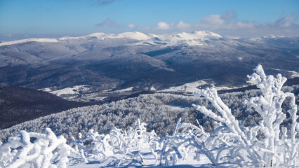panorama of mountains with shrubs covered by a thick layer of snow, frozen mountain vegetation covering the slopes of mighty mountains © Lens Down Under